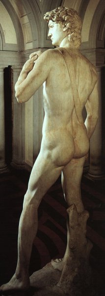 David (side-rear view)