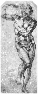 Nude Man from the Front 1510-11