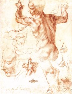 Study for the Libyan Sibyl 1511