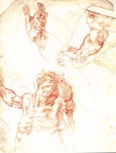 Study for an Annunciation 1547