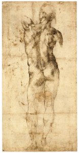 Standing Male Nude, Seen from the Rear (recto)