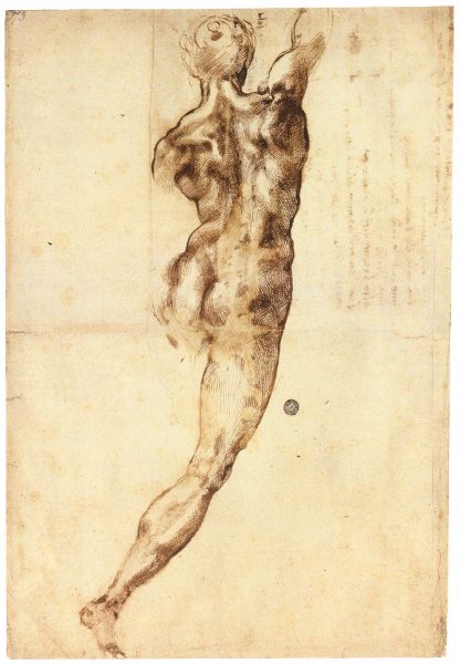 Male Nude, Seen from the Rear