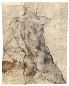 Male Nude, Seen from the Rear (recto) 2