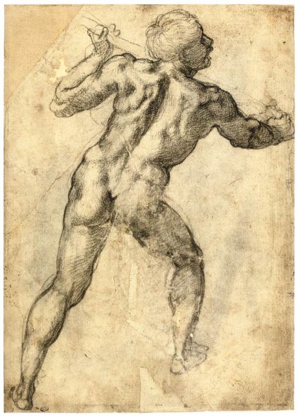 Male Nude, Seen from the Rear (recto) 3