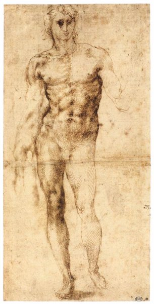 Male Nude (recto)