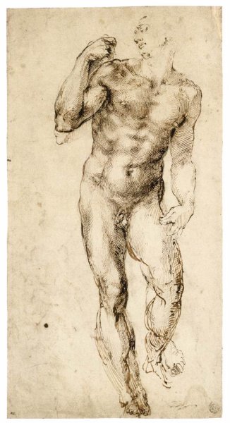 Male Nude (recto) 2