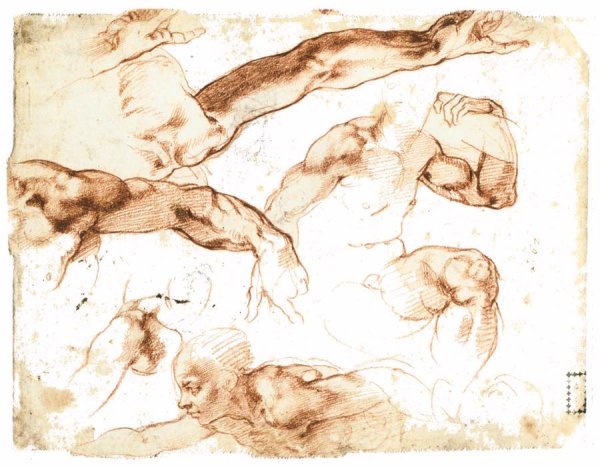 Various Studies of Figures and Limbs (verso)