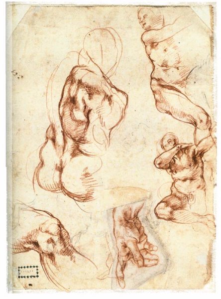 Various figure Studies (verso)