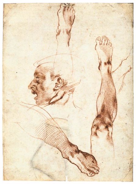 Male Head in Profile and Leg Studies (recto)