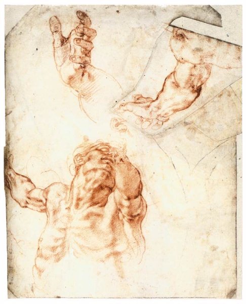 Five Studies for the Figure of Haman (recto)