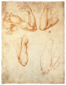 Four Studies of a Bent Arm (verso)