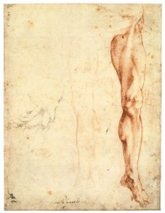 Study of a Left Male Leg (verso)