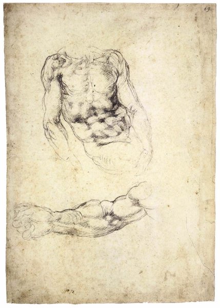 Upper Body of a Sitting Man and Study of a Right Arm (recto)