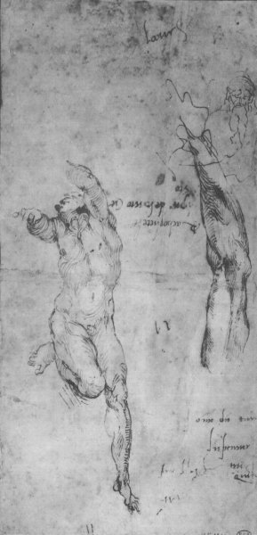 Male nude; arm; bearded man