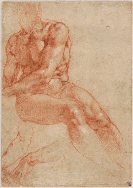 Male Nude Study