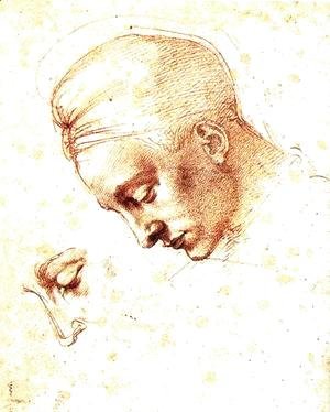 Michelangelo - Study of a Head c. 1530
